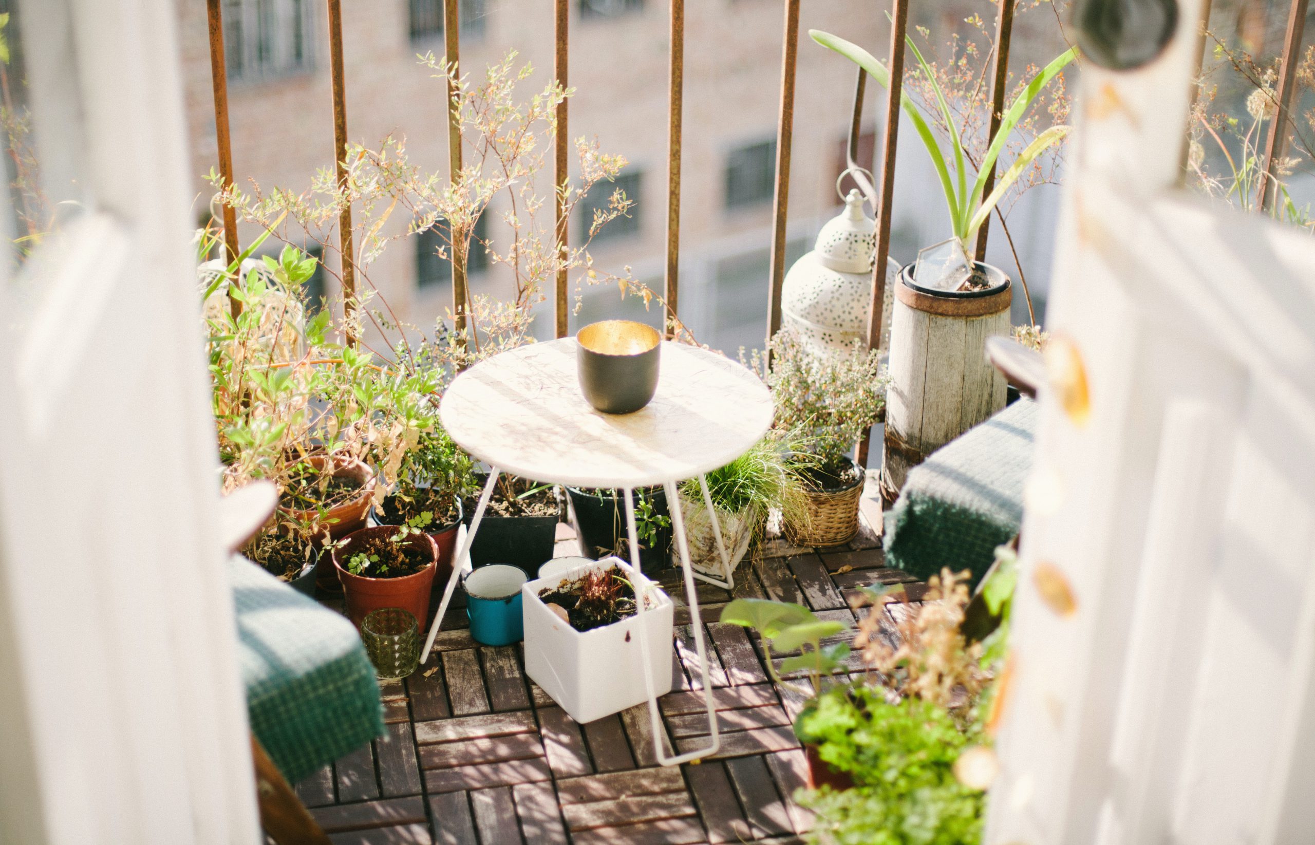 Bo balkon może być twoim ogródkiem – z nami to się uda i to w 5 krokach